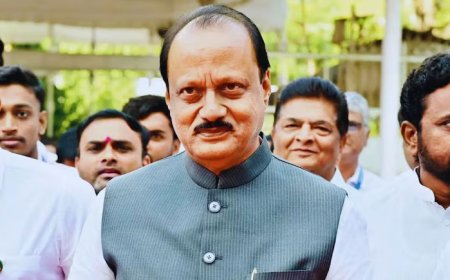 ভারতে বিমান বিধ্বস্ত, মহারাষ্ট্রের উপমুখ্যমন্ত্রীসহ নিহত ৫