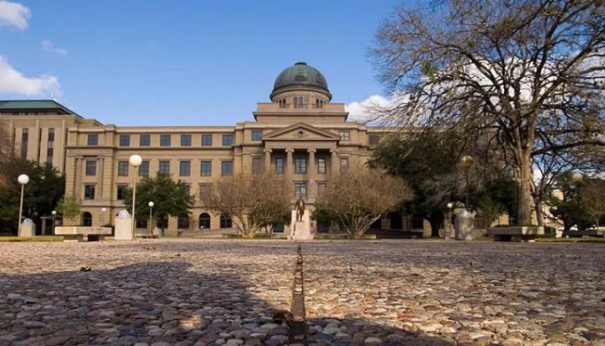 জাতি ও লিঙ্গ বিষয়ে নতুন আইন: টেক্সাসের বিশ্ববিদ্যালয়ে কোর্স বাতিল-সংশোধন