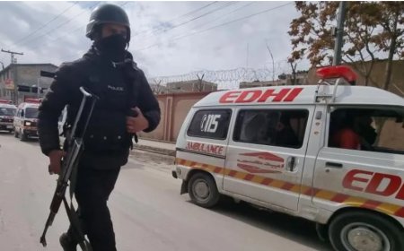 পাকিস্তানে নিরাপত্তা বাহিনীর অভিযানে ৪০ ঘণ্টায় নিহত ১৪৫