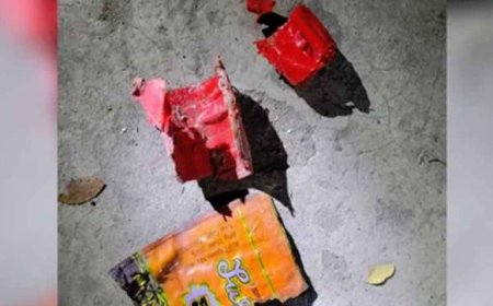 গোপালগঞ্জে ৭ ভোটকেন্দ্রের সামনে ককটেল বিস্ফোরণ