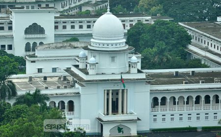 গণভোটের ফল বাস্তবায়ন ঠেকাতে হাইকোর্টে রিট