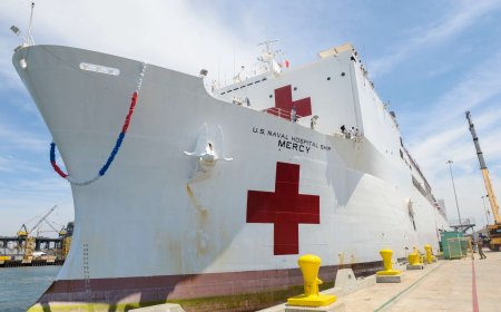 গ্রিনল্যান্ডে ভাসমান হাসপাতাল পাঠাচ্ছেন ট্রাম্প, ডেনমার্ক বলছে ‘প্রয়োজন নেই’