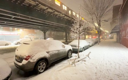 শীতকালীন ঝড়ে যুক্তরাষ্ট্রের উত্তর-পূর্বে জরুরি অবস্থা, বন্ধ স্কুল, হাজারো ফ্লাইট বাতিল