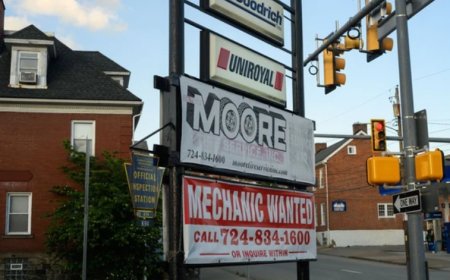 জানুয়ারিতে শক্তিশালী প্রবৃদ্ধির পর যুক্তরাষ্ট্রের চাকরিবাজারে স্থিতিশীলতার আভাস