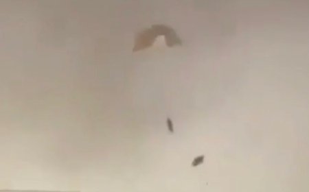 ‘ফ্রেন্ডলি ফায়ার’-এ ভূপাতিত ৩ মার্কিন যুদ্ধবিমান