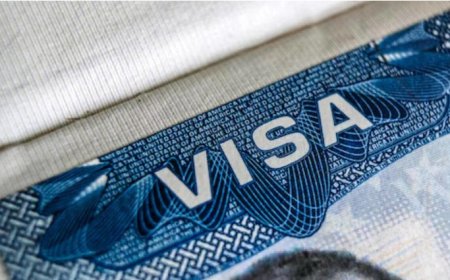 টেক্সাসে ৭ বছর ধরে ভিসা জালিয়াতি, ডালাসে দুজনের বিরুদ্ধে অভিযোগ