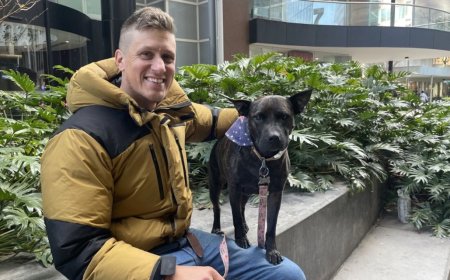 এআই দিয়ে কুকুরের ক্যানসারের ভ্যাকসিন তৈরির দাবি