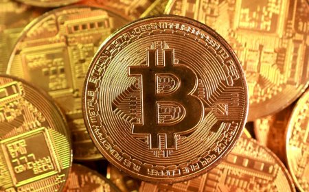 পাসওয়ার্ড চুরি করে ৩ হাজার কোটি টাকার বিটকয়েন আত্মসাৎ, স্ত্রীর বিরুদ্ধে স্বামীর মামলা