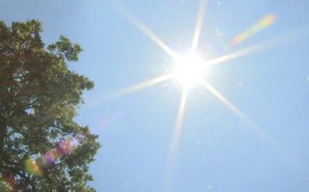 ডালাসে ৯৫ ডিগ্রি তাপের সতর্কতা, মার্চেই রেকর্ড ভাঙার আশঙ্কা