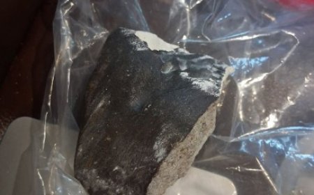 হিউস্টনে প্রচণ্ড শব্দের মাঝে এক নারীর বাড়িতে আছড়ে পড়ল উল্কাপিণ্ড