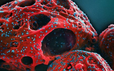 যুক্তরাষ্ট্রে ছড়াচ্ছে ‘সিকাডা’, জেনে নিন কোভিডের নতুন এই ভ্যারিয়েন্টের লক্ষণ