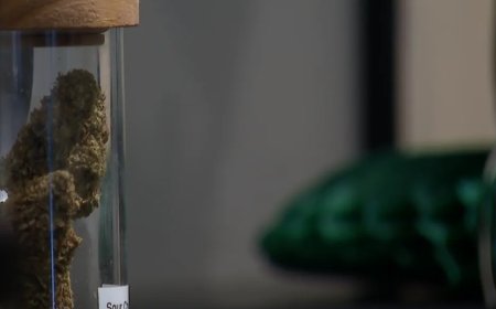 টেক্সাসে স্মোকেবল হেম্প নিষিদ্ধ, বিপাকে নর্থ টেক্সাসের ছোট ব্যবসা