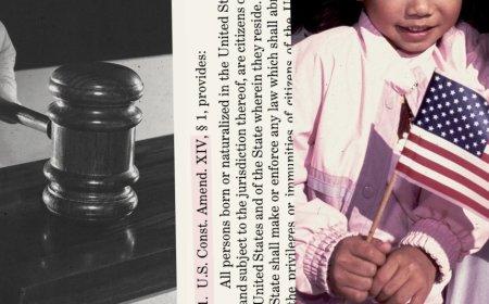 জন্মসূত্রে নাগরিকত্ব সীমিত করতে ১৮৮৪ সালের রায় ট্রাম্প প্রশাসনের হাতিয়ার