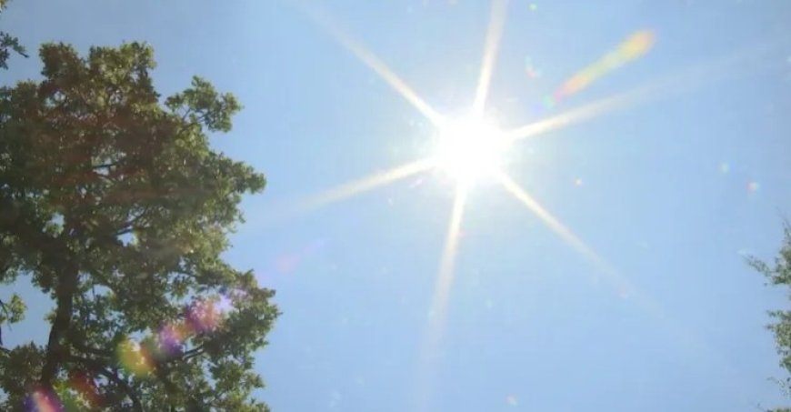 ডালাসে ৯৫ ডিগ্রি তাপের সতর্কতা, মার্চেই রেকর্ড ভাঙার আশঙ্কা