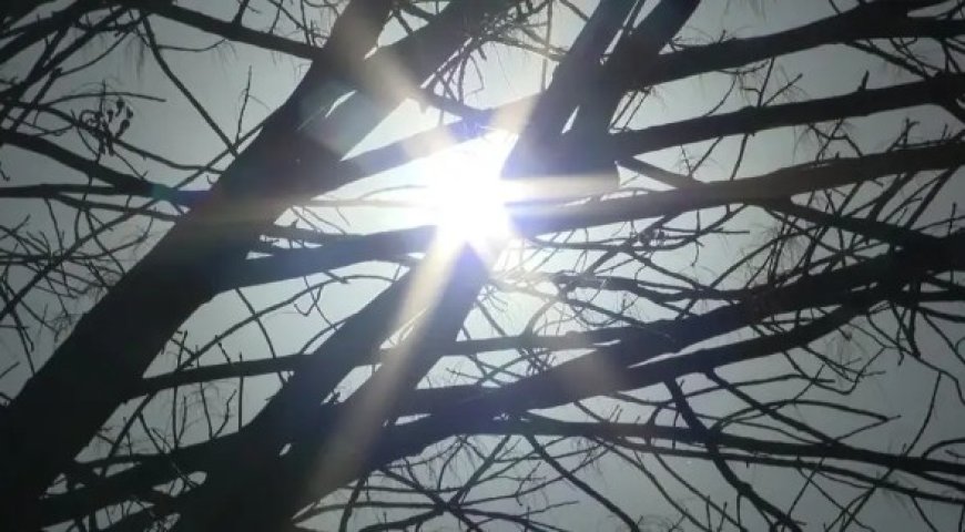 মার্চেই তাপপ্রবাহের আভাস, রেকর্ড ছোঁয়ার পথে নর্থ টেক্সাসের তাপমাত্রা