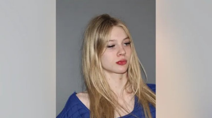 স্টিফেনভিলে বাড়িতে গাড়ি ঢুকে পড়ায় নারী-শিশুর মৃত্যু, চালক গ্রেপ্তার