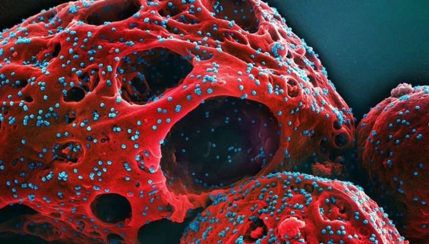 যুক্তরাষ্ট্রে ছড়াচ্ছে ‘সিকাডা’, জেনে নিন কোভিডের নতুন এই ভ্যারিয়েন্টের লক্ষণ