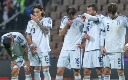 এবারও ফিফা বিশ্বকাপে দর্শক ইতালি