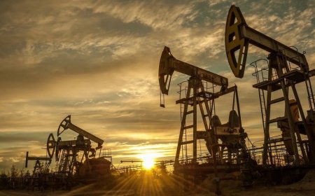 সরবরাহ সংকটে তেলের বাজার, বিশ্বজুড়ে উদ্বেগ বাড়ছে