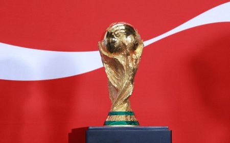 ফিফার কোর্টে বল ঠেলে সিদ্ধান্ত জানিয়ে দিল ইরান