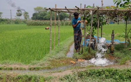 ডিজেল সংকটে বিপাকে কৃষক, বোরো মৌসুমে উৎপাদন নিয়ে আশঙ্কা বাড়ছে