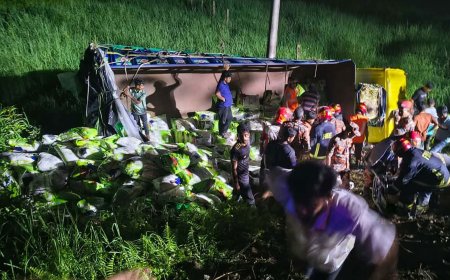 কুমিল্লার দাউদকান্দিতে ট্রাক উল্টে নিহত ৭