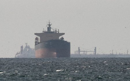 হরমুজে জাহাজ চলাচল প্রায় বন্ধ, দেড় মাসে হামলার শিকার ২২