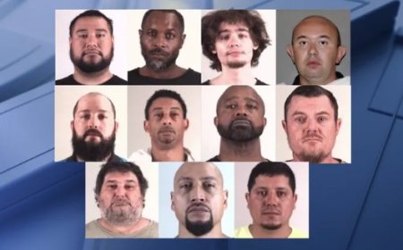 ফোর্ট ওয়ার্থে শিশু ‘শিকারি’ দমনে অভিযান, গ্রেপ্তার ১০