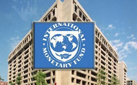 সংস্কার ব্যর্থতায় ঋণের কিস্তি স্থগিত করেছে আইএমএফ