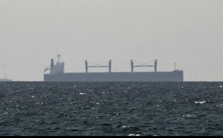 হরমুজ খুলতেই তেলের দামে বড় পতন, কমেছে ১৩ শতাংশ