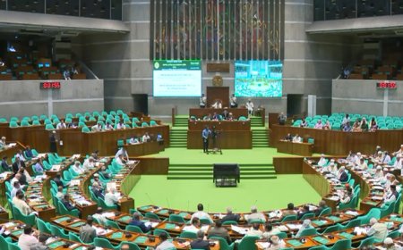 সংসদের কেনাকাটায় ‘হরিলুট’ তদন্তে উচ্চপর্যায়ের কমিটি