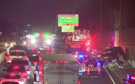 ডালাস নর্থ টোলওয়েতে উল্টো পথে গাড়ি, তিন যানবাহনের সংঘর্ষে আহত ২