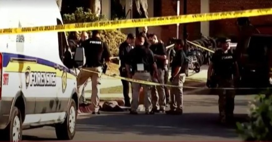 ফ্লোরিডা স্টেট ইউনিভার্সিটিতে গুলিবর্ষণের ঘটনায় এআইয়ের ভূমিকা নিয়ে তদন্ত