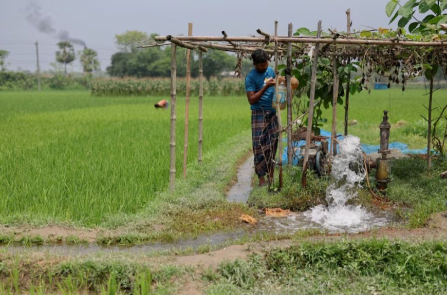 ডিজেল সংকটে বিপাকে কৃষক, বোরো মৌসুমে উৎপাদন নিয়ে আশঙ্কা বাড়ছে
