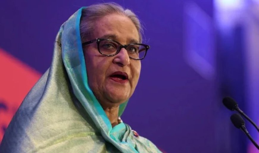 দিল্লি বৈঠকে শেখ হাসিনাকে ফেরত চেয়েছে বাংলাদেশ