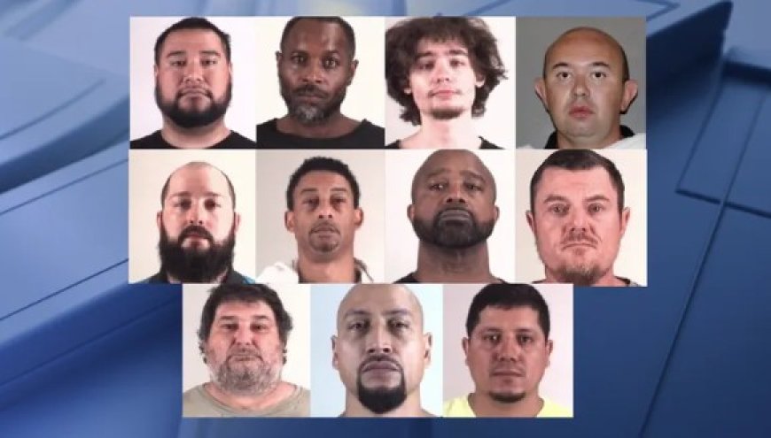 ফোর্ট ওয়ার্থে শিশু ‘শিকারি’ দমনে অভিযান, গ্রেপ্তার ১০