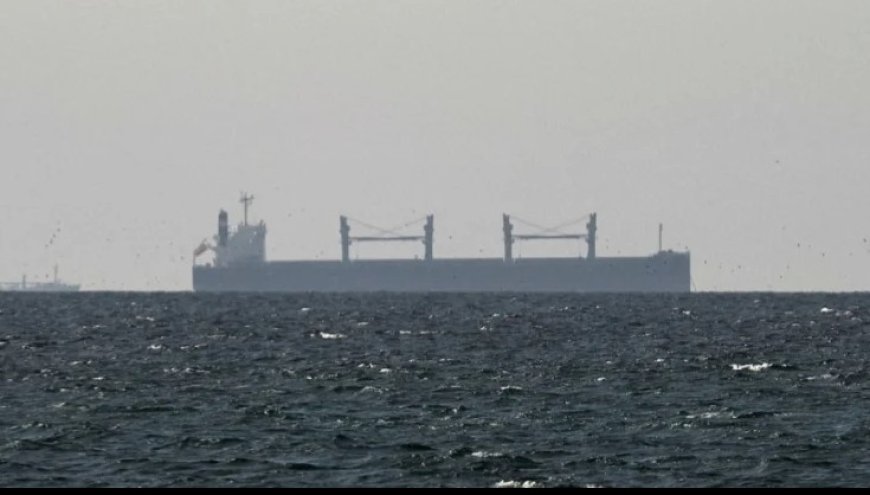 হরমুজ খুলতেই তেলের দামে বড় পতন, কমেছে ১৩ শতাংশ