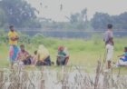 ভারতের পুশ-ইনের চেষ্টা, ৩৬ ঘণ্টা ধরে শূন্যরেখায় নারী-শিশুসহ ১০ জন