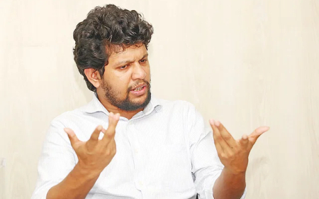 ‘মধ্যবিত্ত না থাকলে জুলাই হতো আরেকটি শাপলা’ : মাহফুজ আলম