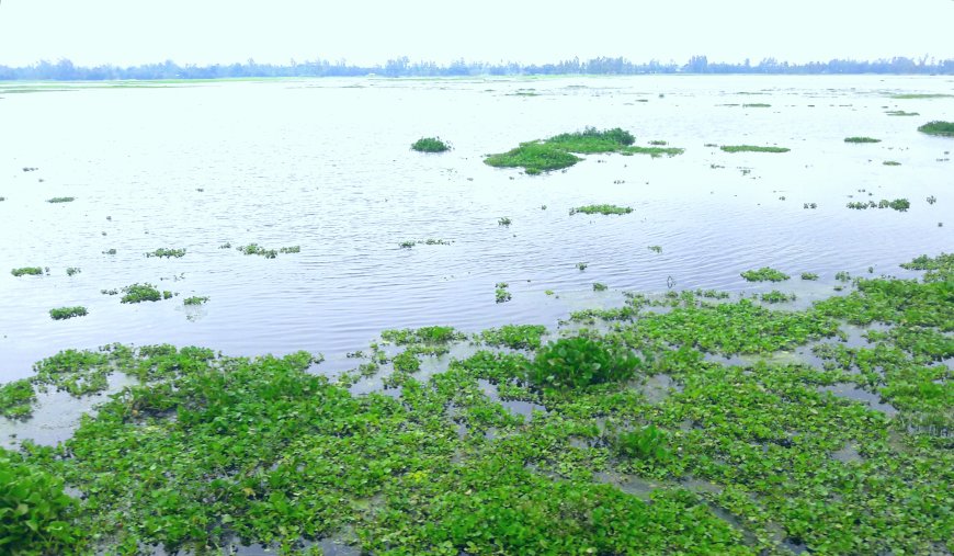 তিস্তা-দুধকুমারে বিপদসীমার ওপরে পানি, উত্তরবঙ্গে এক লাখ মানুষ পানিবন্দী