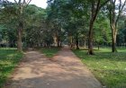 জুলাই গণঅভ্যুত্থানের বার্ষিকীতে সোহরাওয়ার্দী উদ্যানে গণতন্ত্রের কনসার্ট