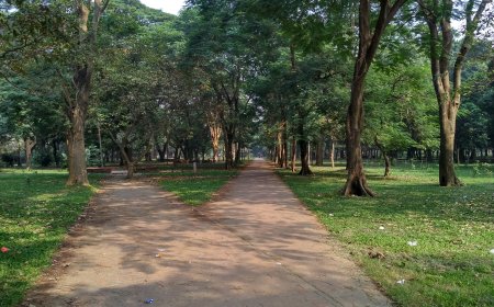 জুলাই গণঅভ্যুত্থানের বার্ষিকীতে সোহরাওয়ার্দী উদ্যানে গণতন্ত্রের কনসার্ট
