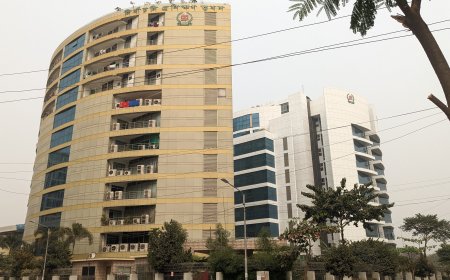 বাংলাদেশে ২৩তম রাষ্ট্রপতি নির্বাচনে বিএনপি মনোনয়নপত্র সংগ্রহ করেছে