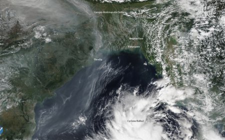 বঙ্গোপসাগরে গভীর নিম্নচাপ, বাংলাদেশজুড়ে ভারী বৃষ্টিপাতের পূর্বাভাস