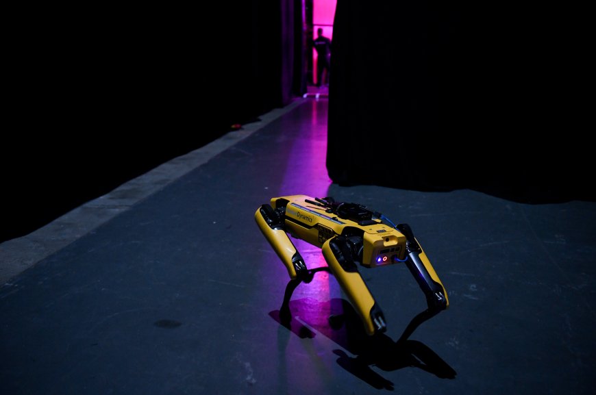 আইসিই বস্টন ডায়নামিক্সের স্পট রোবট কিনছে, বরাদ্দ ২০ লাখ ডলার