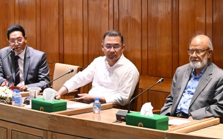 ডেঙ্গু ঠেকাতে সপ্তাহে এক ঘণ্টা চারপাশ পরিষ্কার রাখুন: তারেক রহমান