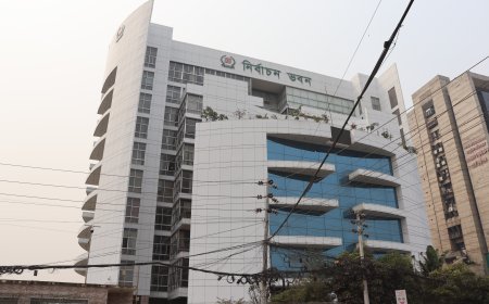 ১২ নভেম্বর থেকে শুরু হতে পারে স্থানীয় সরকার নির্বাচন: ইসি