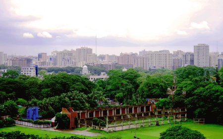 গণ-অভ্যুত্থান মামলায় রাজশাহীর সাবেক মেয়র লিটনসহ ৩৪ জনকে আত্মসমর্পণের নোটিশ