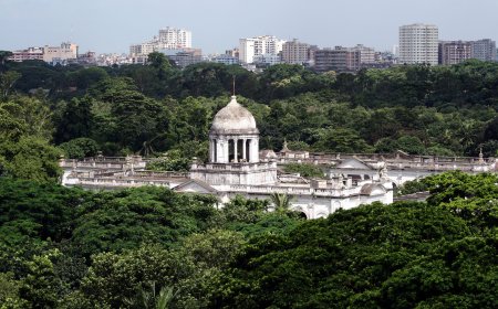 নিউ গিনি হামলা মামলায় অবসরপ্রাপ্ত মেজর জেনারেল মহিউদ্দিন চৌধুরী জামিন পেলেন