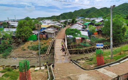 রোহিঙ্গা সংকটের স্থায়ী সমাধান মিয়ানমারেই, জাপানকে পাশে চাইলেন তারেক রহমান